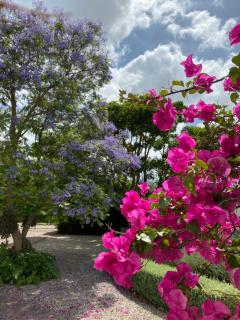 Montrose Guesthouse - Somerset West - 3