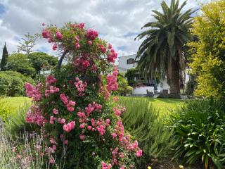 Montrose Guesthouse - Somerset West - 2