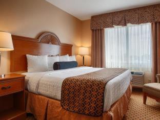 Best Western South Plains Inn & Suites - Levelland - 3