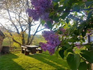 Plitvice Luxury Etno Garden - Laghi di Plitvice - 4