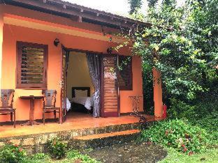 Ivory Falls Villa - Di Linh - 7