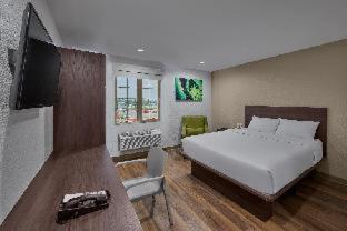 Extended Suites Queretaro Juriquilla - Querétaro - 4