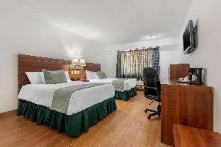 Tru by Hilton Saltillo - Saltillo - 7