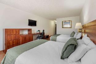 Tru by Hilton Saltillo - Saltillo - 6