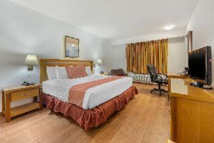 Tru by Hilton Saltillo - Saltillo - 3