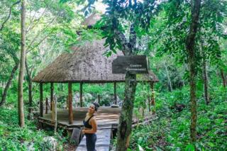 Akumal Natura Glamping - Akumal - 9