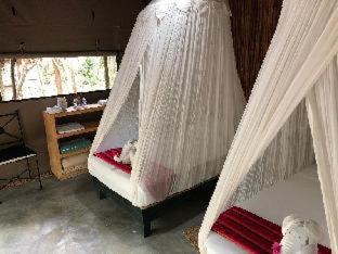 Akumal Natura Glamping - Akumal - 4