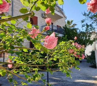 Villa Sandra Hvar - Hvar - 3