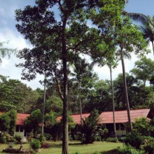 Sukorn Andaman Beach Resort - Ko Sukon - 1