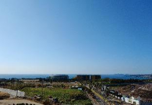 Hotel Stay Interview Jeju - Seogwipo - 2