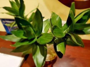 GreenTree Alliance Beijing Daxing District Jiugong Town Jiugong Subway Station Hotel - Hongxing - 7