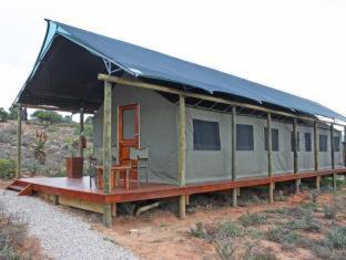 Buffelsdrift Game Lodge - 5