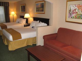 Holiday Inn Express & Suites O'Fallon-Shiloh by IHG - Shiloh - 5