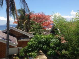 Liwayway sa Bohol Pamilacan Resort - Baclayon - 4