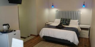 Green Venus - Kaapsehoop - 7