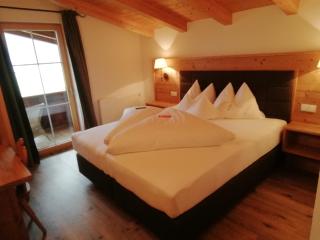 Tirol Appartement Haus Zillertal - Zell am Ziller - 1