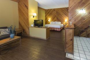 Timbers Lodge - Pigeon Forge - 7