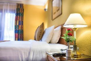 Marbella Resort - Schardscha - 9