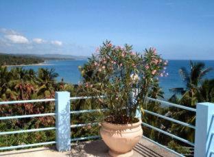 High Steps Pension - Catmon - 1