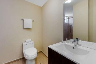 Comfort Inn San Luis Potosi - San Luis Potosí - 9