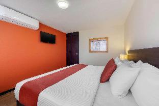 Comfort Inn San Luis Potosi - San Luis Potosí - 7