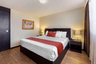 Comfort Inn San Luis Potosi - San Luis Potosí - 6