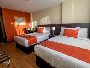 Comfort Inn San Luis Potosi - San Luis Potosí - 4