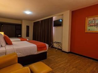 Comfort Inn San Luis Potosi - San Luis Potosí - 1
