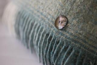 Nether Abbey Hotel - North Berwick - 7