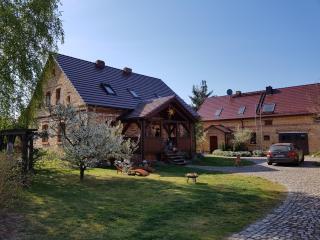 Ferienhaus auf dem Hof Lechner - Drieschnitz - 3