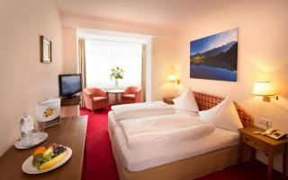 Hotel Dachstein - Filzmoos - 8