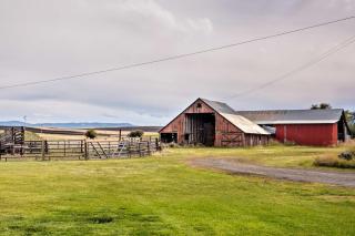 Farmhouse in Country Setting Near Gravity Hill - Grangeville - 9