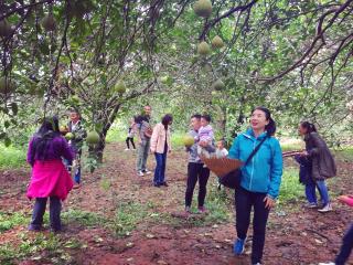 Nirvana Organic Farm Inn - 5