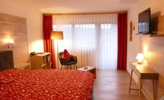 Öko-Landhotel Basler Hof - Lauterbach - 4