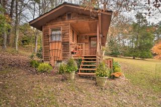 Forest Fantasy Pet-Friendly Smoky Mtn Escape! - Brasstown - 8