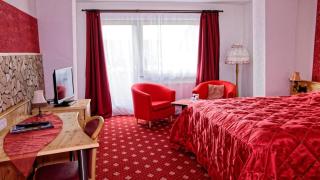 Öko-Landhotel Basler Hof - Lauterbach - 5