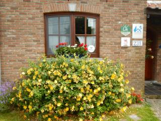 B&B La Chrysalide - Mons - 7