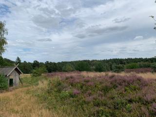 Nordheidehaus - Villa - 6