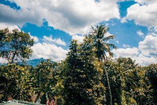 Thomasz Lodge - Kandy - 4