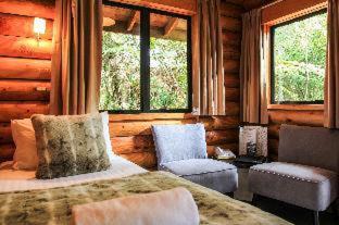 Rainforest Retreat - 3