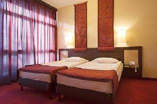 Rubin Wellness & Conference Hotel - Budapest - 6