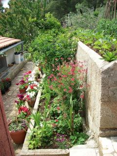 Apartments Luka - Tisno - 1