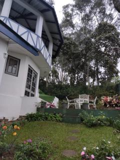 Windsor Forest bungalow - 3