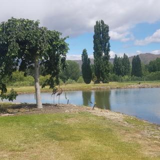 Dunstan Road B&B - Alexandra - 1