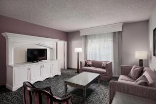 Anaheim Majestic Garden Hotel - Anaheim - 4