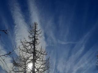 Monoloc. Bosco delle Fate - 7