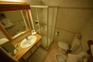 Albergo Alpenrose Ski&Bike Mountain Hotel - Gressoney-Saint-Jean - 3