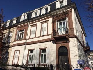 Villa Schiller, 2 studios côté jardin - quartier Orangerie - 1