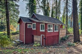 Peaceful McKenzie River Retreat: Fish, Hike, & Ski - 0