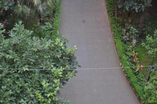 B&B Sergio House - Rome - 4